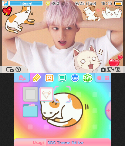 Seventeen Jun + Cats