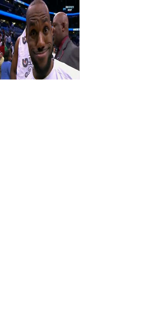 Lebron James Photobomb Troll