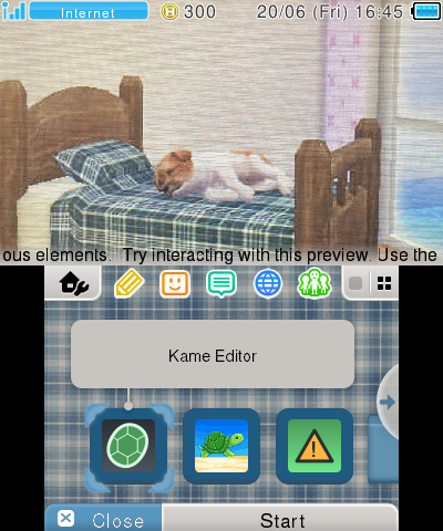 Nintendogs Sleeping