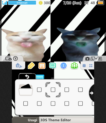 positive and negative