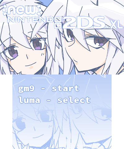 Tendershipping 2DSXL