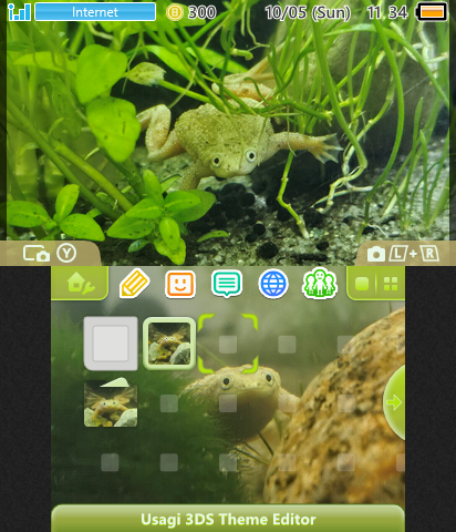 Bouba, my darling frog!