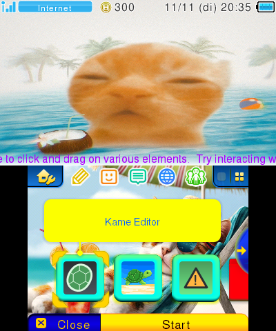 Cat Beach Theme