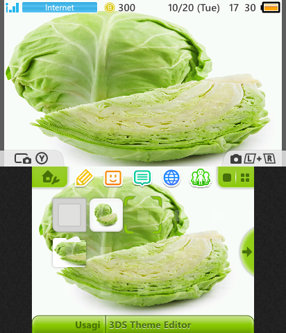 Cabbage