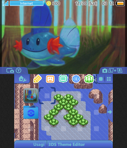 Pokemon - Mudkip Route 127