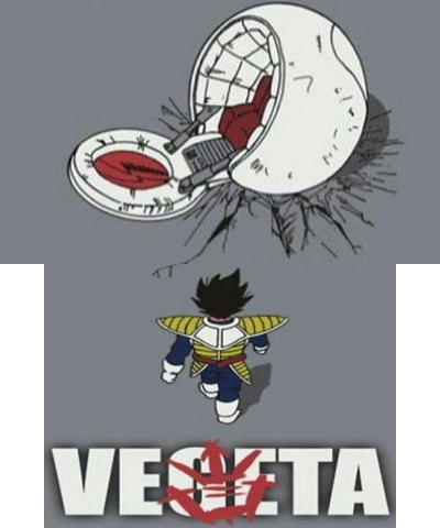 VEGETA - AKIRA style