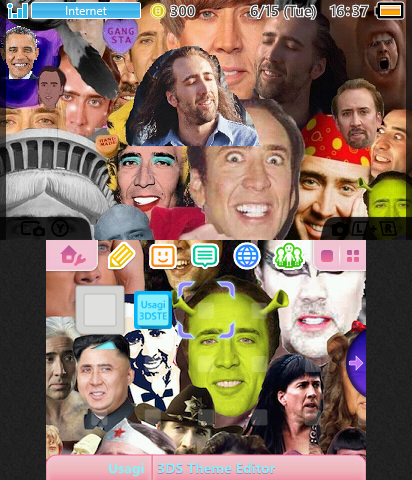 I love Nick Cage