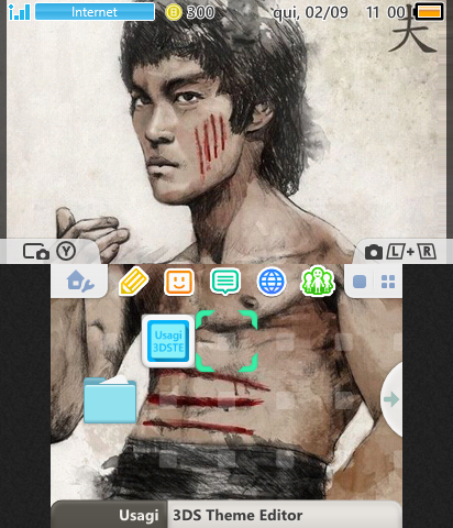 Bruce Lee 3ds theme