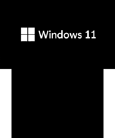 Windows 11