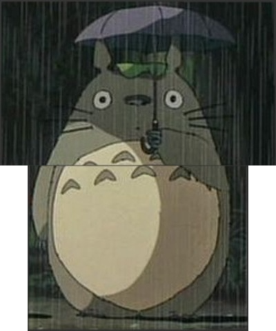 totoro