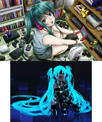 Miku on the Outside and Inside