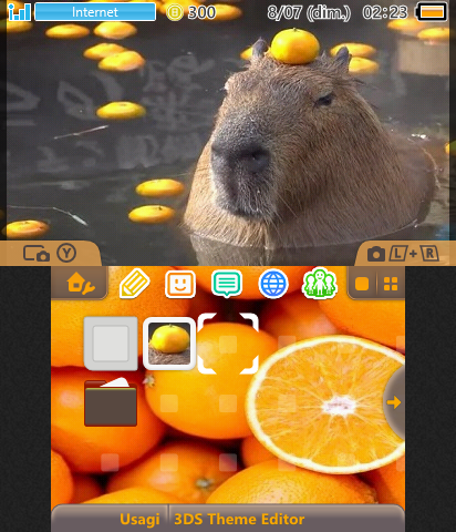 Capybara with oranges