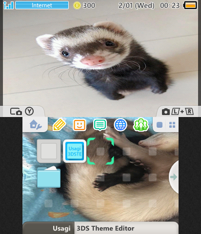 ferret theme