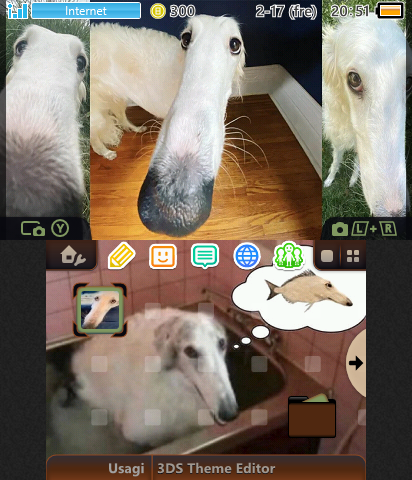 didn't i do it for you borzoi