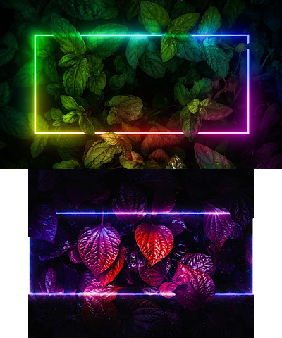 Exotic Neon Plants