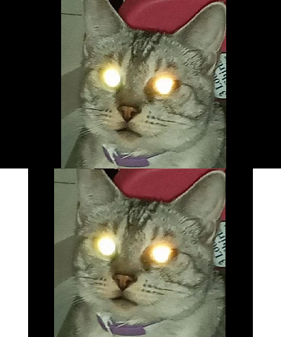 Radioactive cat