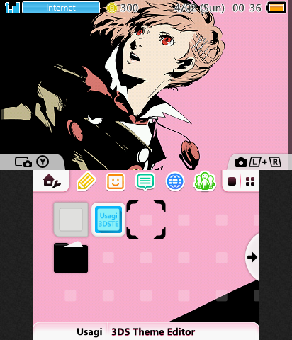 P3P THEME FEMC