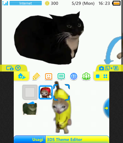 Meme cats