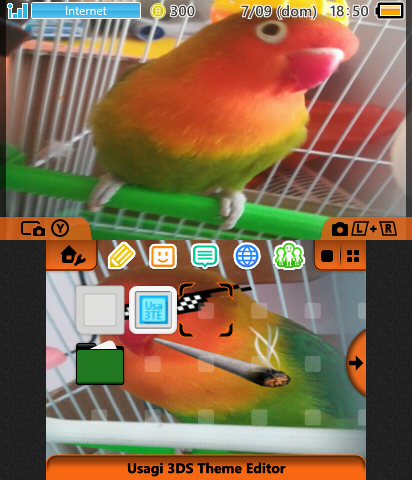 sussy parrot theme