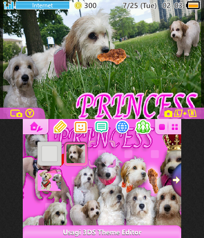 Princess Puppy