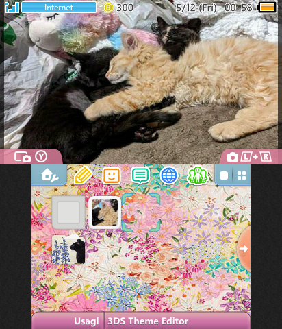 Kitten Theme