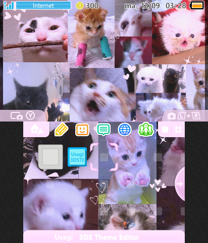 *:･ﾟ✧*:･ﾟ✧ Silly Cats ✧･ﾟ:*✧･ﾟ:*
