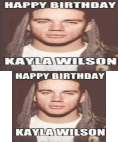 Happy Birthday! (ONLY KAYLA WILS