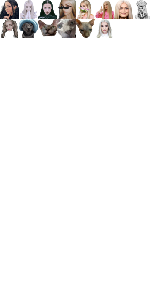 Poppy Badges ft Pi (Sphynx Cat)