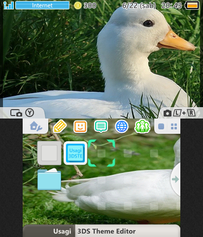 Cool Duck