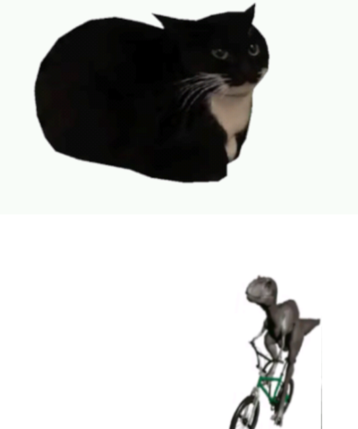 Meme cat and friends