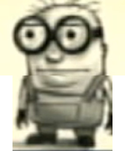 MINION