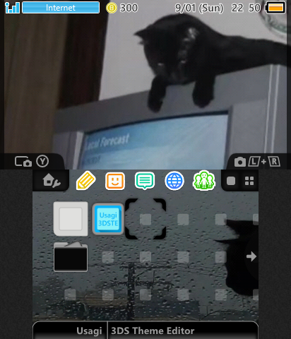 dark cat theme